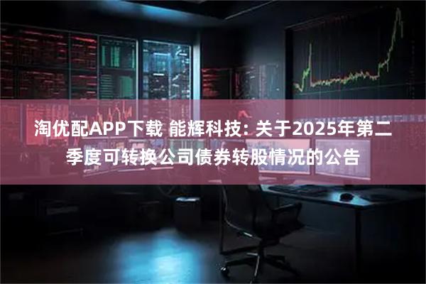 淘优配APP下载 能辉科技: 关于2025年第二季度可转换公司债券转股情况的公告