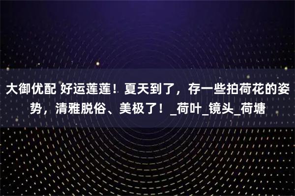 大御优配 好运莲莲！夏天到了，存一些拍荷花的姿势，清雅脱俗、美极了！_荷叶_镜头_荷塘