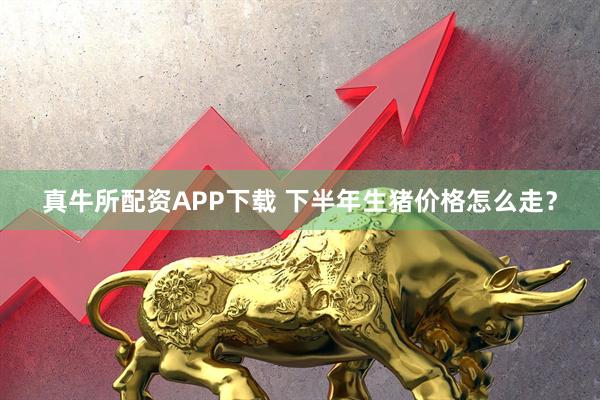 真牛所配资APP下载 下半年生猪价格怎么走？