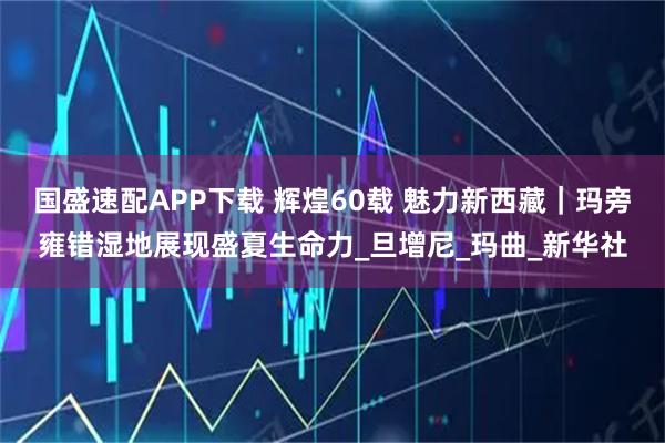 国盛速配APP下载 辉煌60载 魅力新西藏｜玛旁雍错湿地展现盛夏生命力_旦增尼_玛曲_新华社