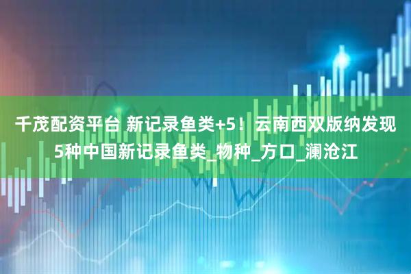 千茂配资平台 新记录鱼类+5！云南西双版纳发现5种中国新记录鱼类_物种_方口_澜沧江