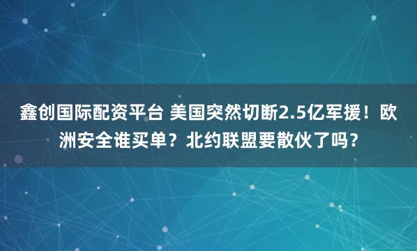 鑫创国际配资平台 美国突然切断2.5亿军援！欧洲安全谁买单？北约联盟要散伙了吗？