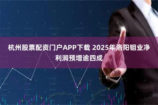 杭州股票配资门户APP下载 2025年洛阳钼业净利润预增逾四成