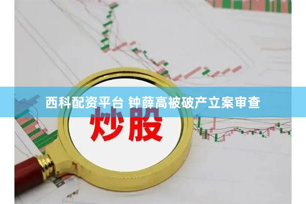 西科配资平台 钟薛高被破产立案审查