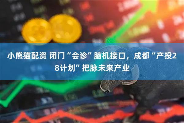 小熊猫配资 闭门“会诊”脑机接口，成都“产投28计划”把脉未来产业